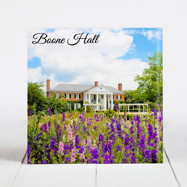 Boone Hall Plantation - Charleston, SC