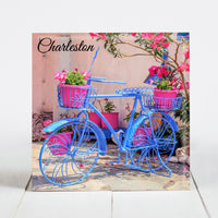 Blue Bicycle - Charleston
