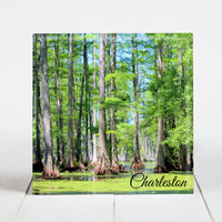 Swamp and Cypress Trees - Charleston, SC