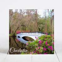 Bridge and Azaleas at Magnolia Plantation - Charleston, SC