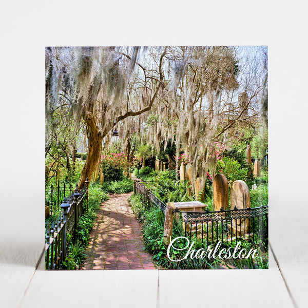 Oak Trees and Spanish Moss at Magnolia Cemetery - Charleston, SC