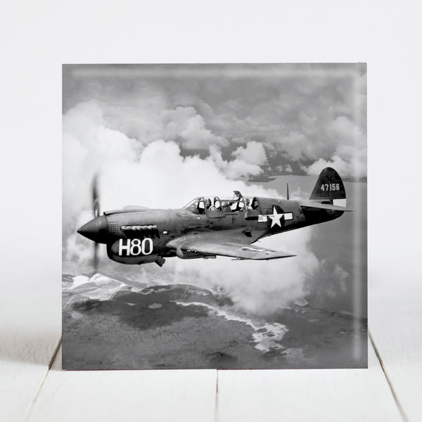 P-40 Trainer Plane WW2 Era