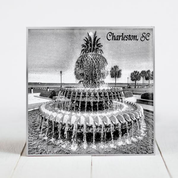 Pineapple Fountain in Waterfront Park  - Charleston, SC - Black & White B&W
