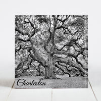 Angel Oak Tree - Black and White