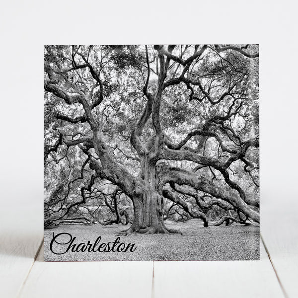 Angel Oak Tree - Black and White