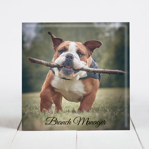 Bulldog as Branch Manager